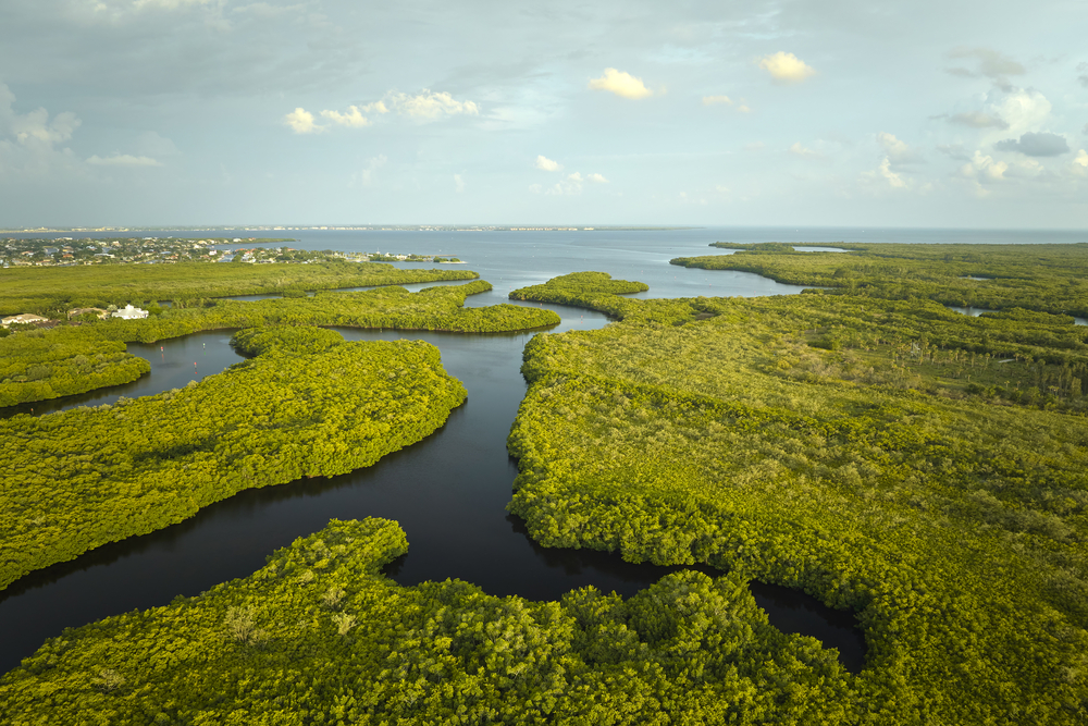 Unraveling the Rich History of Everglades National Park!