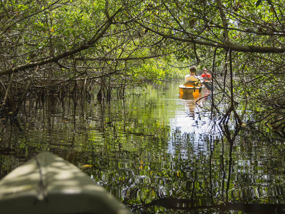 What Is the Everglades Most Known For?